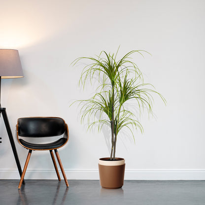 SOGA 2X 150cm Artificial Dracaena Plant Fake Potted, Simulation Tree Fake Plant Home Decor • LUZ-APlantFHL1504X2