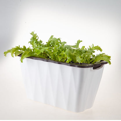SOGA 2X 35cm Small White Rectangular Flowerpot Vegetable Herb Flower Outdoor Plastic Box Garden Decor • LUZ-PlantBox4K
