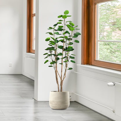 SOGA 180cm Plastic Potted Polyscias Scutellaria Plant Home Garden Artificial Tree, Home Decor • LUZ-APlantFHJQD18080