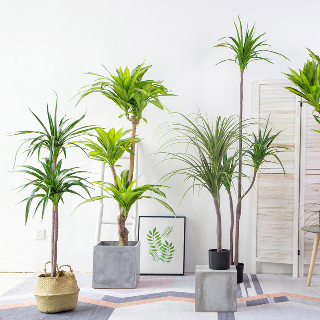 SOGA 2X 180cm Green Artificial Indoor Brazlian Iron Tree Fake Plant Decorative 3 Heads • LUZ-APlantFHBS18090X2