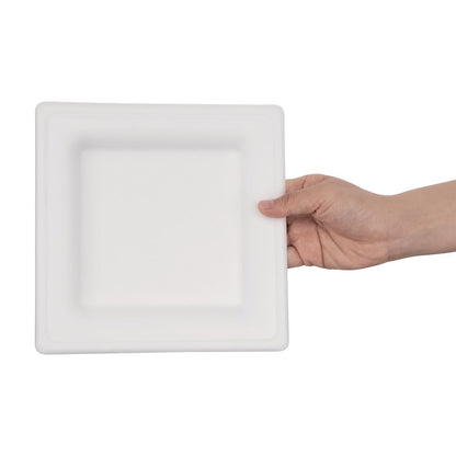 Fiesta Compostable Bagasse Square Plate 204mm (50 Pack) (204(W)x204(D)mm | Pack of 50) • PAS-FC519