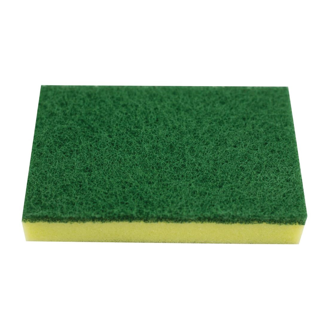 Oates Contractor Scour n Sponge (15 Pack) (Pack Quantity: 15) • PAS-CP617