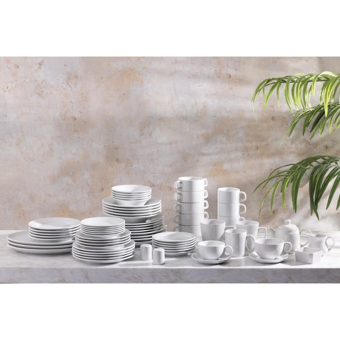 Olympia Athena Oatmeal Bowls (12 Pack) (Pack of 12) • PAS-CC213