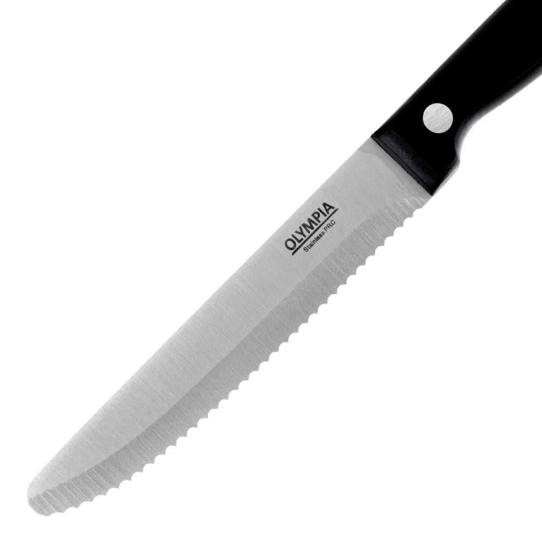 Special Offer Olympia Rounded Steak Knives Black (60 Pack) (Length: 215mm. 18/0 stainless steel. 60 Pack) • PAS-HU764