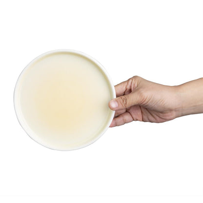 Olympia Fondant Plates Lemon 156mm (6 Pack) (Pack of 6) • PAS-CU411