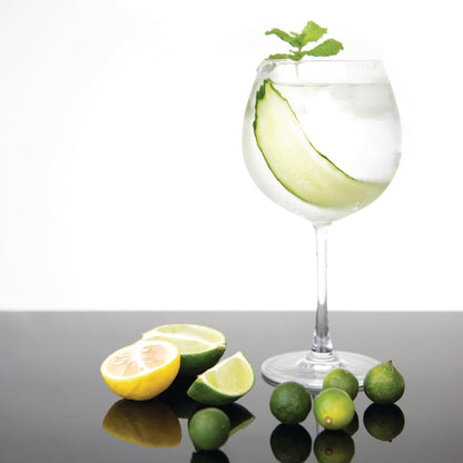 Olympia Bar Collection Crystal Gin Glasses 645ml (6 Pack) • PAS-CW251
