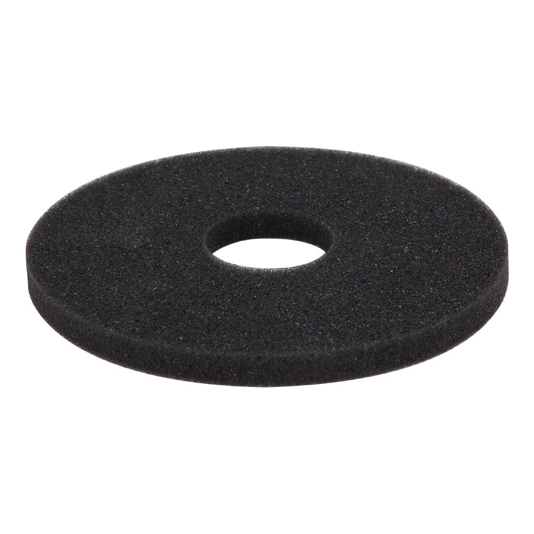 Beaumont Spare Sponge For Glass Rimmer • PAS-CZ500