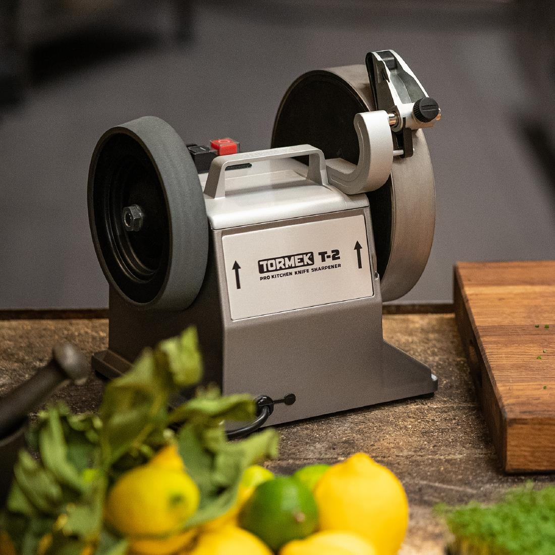 Tormek Professional T-2 Knife Sharpener • PAS-CZ859