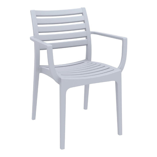 Siesta Exclusive Artemis Armchair Silver Grey (2 Pack) • PAS-DD040