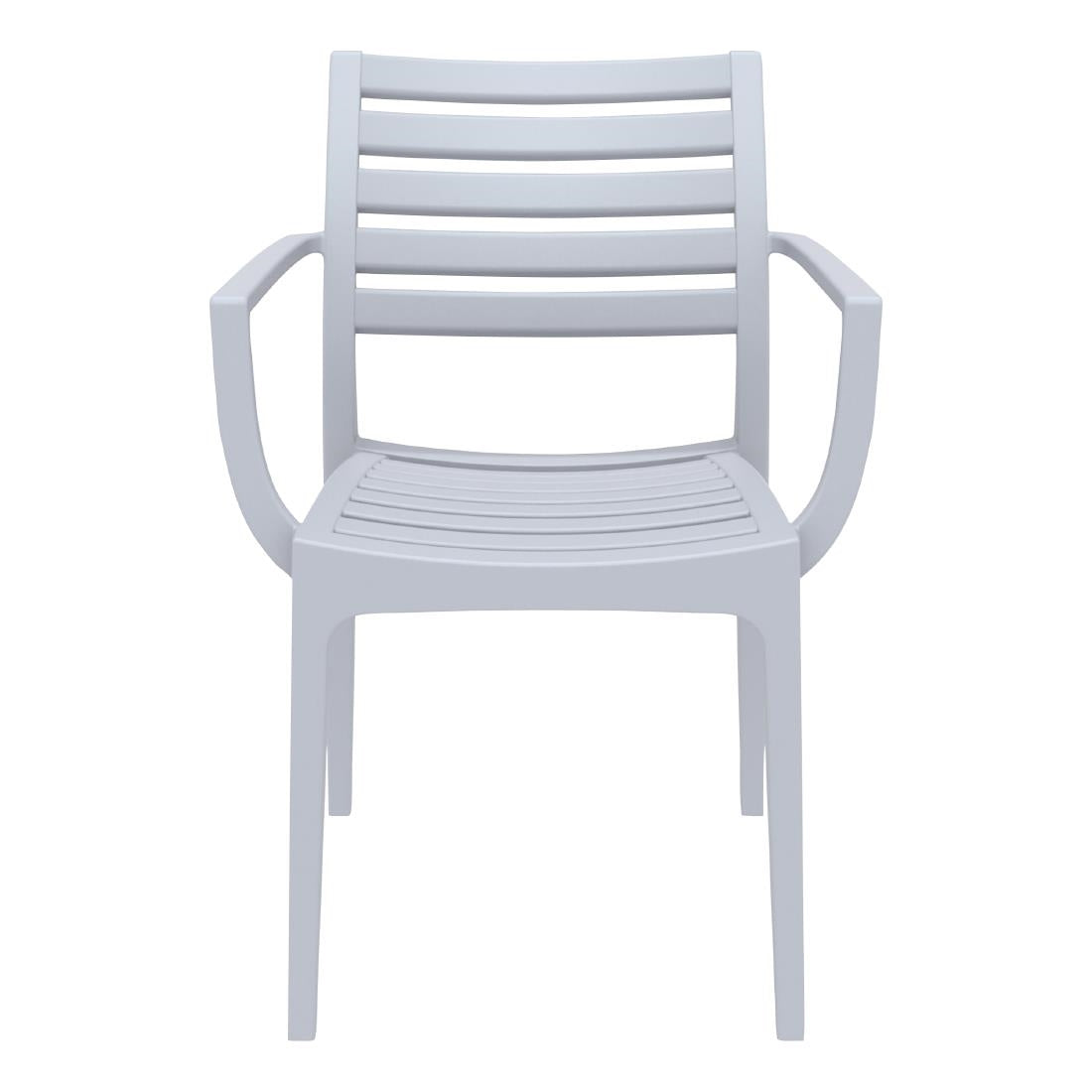 Siesta Exclusive Artemis Armchair Silver Grey (2 Pack) • PAS-DD040