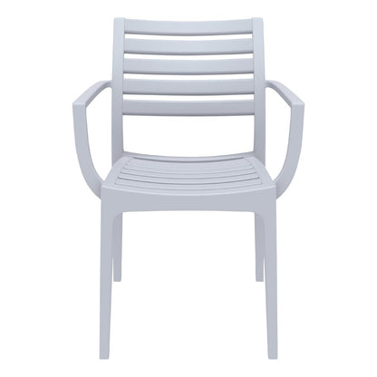 Siesta Exclusive Artemis Armchair Silver Grey (2 Pack) • PAS-DD040
