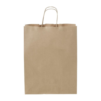 Detpak Medium Paper Twist Handle Carry Bag (250 Pack) • PAS-DD324
