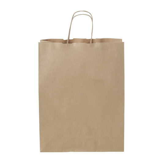 Detpak Medium Paper Twist Handle Carry Bag (250 Pack) • PAS-DD324