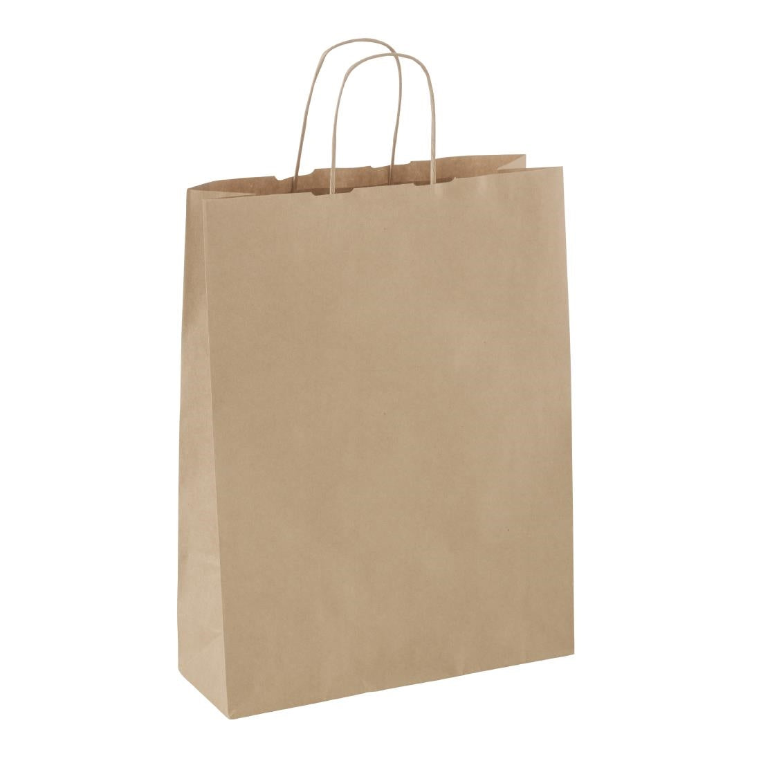 Detpak Medium Paper Twist Handle Carry Bag (250 Pack) • PAS-DD324