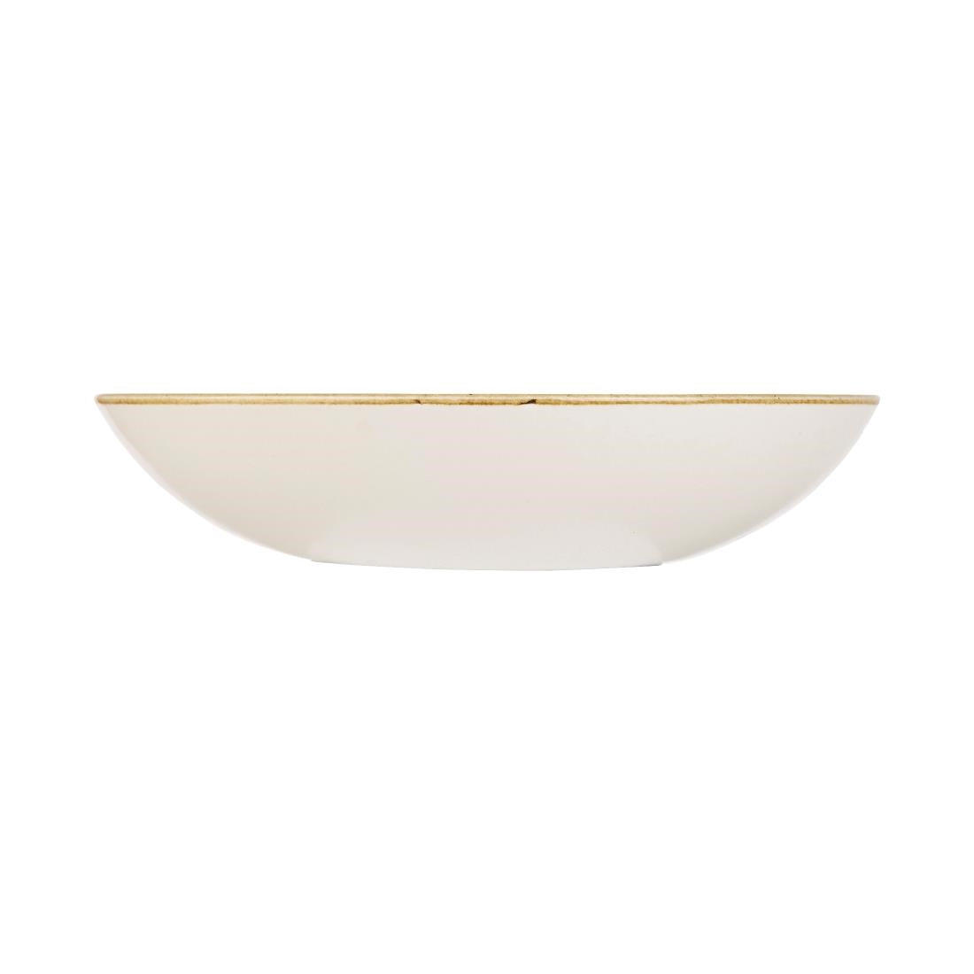 Churchill Stonecast Round Coupe Bowl Spiced Orange 248mm (12 Pack) (Pack of 12) • PAS-DK540
