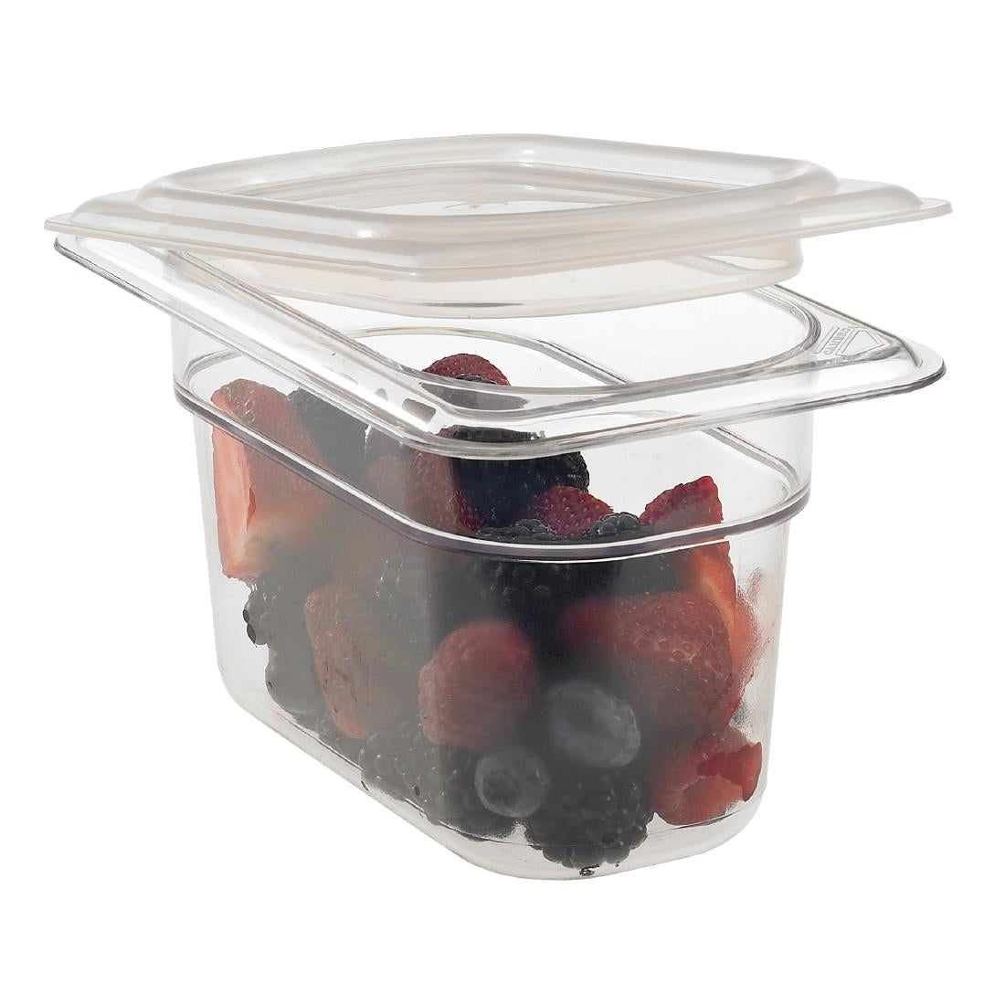 Cambro Polypropylene Seal Lid - Gastronorm 1/9 - Translucent • PAS-DM762
