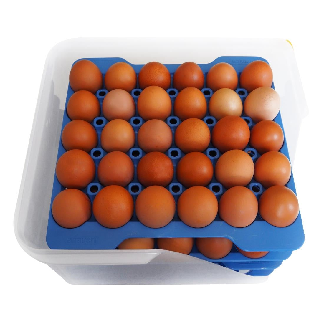 Araven Airtight Container with 4 Egg Trays GN 2/3 200mm • PAS-DP209