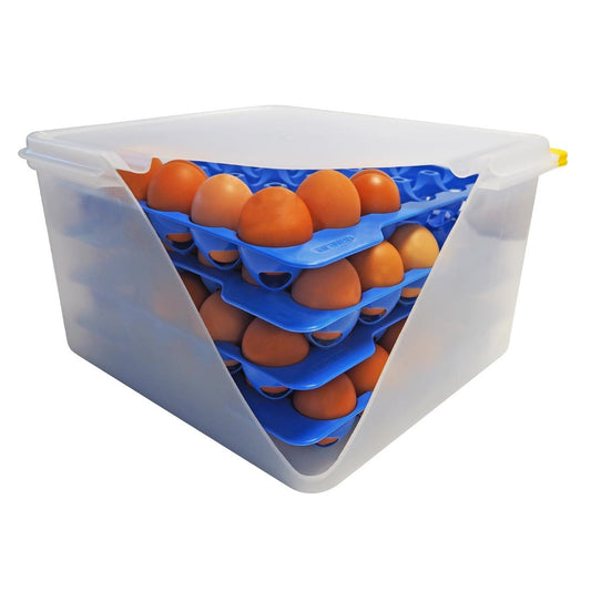 Araven Airtight Container with 4 Egg Trays GN 2/3 200mm • PAS-DP209