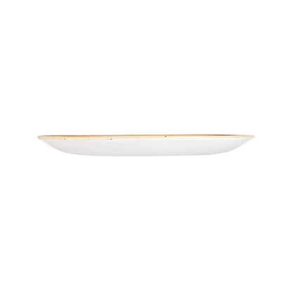 Churchill Stonecast Duck Egg Blue Round Coupe Plate 324mm (324(Ø)mm / 12.75(Ø)". Duck egg blue. Pack Quantity: 6) • PAS-DT667
