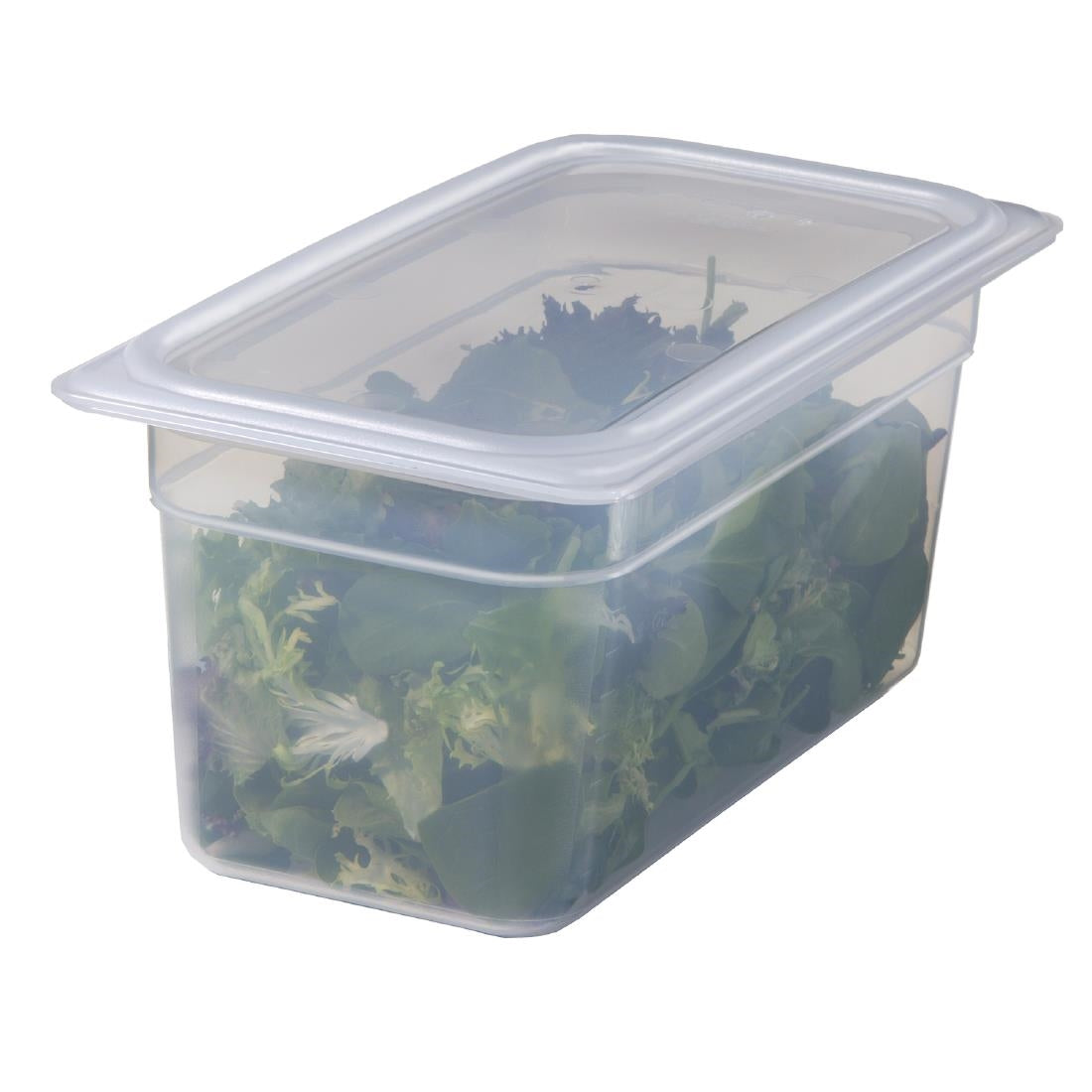 Cambro Polypropylene Gastronorm Tray - Translucent  - 1/4 100mm • PAS-DW506