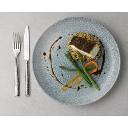 Churchill Studio Prints Raku Round Coupe Bowl Topaz Blue 248mm (12 Pack) (Pack of 12) • PAS-DE888