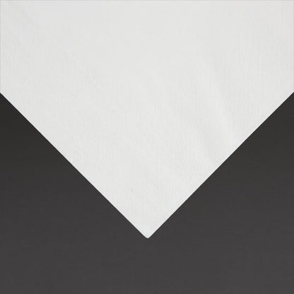 Fiesta Recyclable Lunch Napkin White 330x330mm 2ply 1/4 Fold (2000 Pack) (2 ply | 4 fold | Pack of 2000) • PAS-FE219