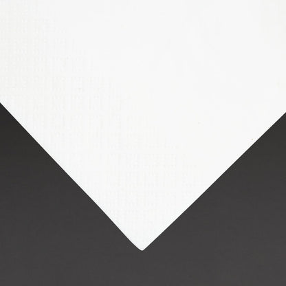 Fiesta Recyclable Dinner Napkin White 400x400mm 3ply 1/8 Fold (1000 Pack) (3 ply | 8 fold | Pack of 1000) • PAS-FE258