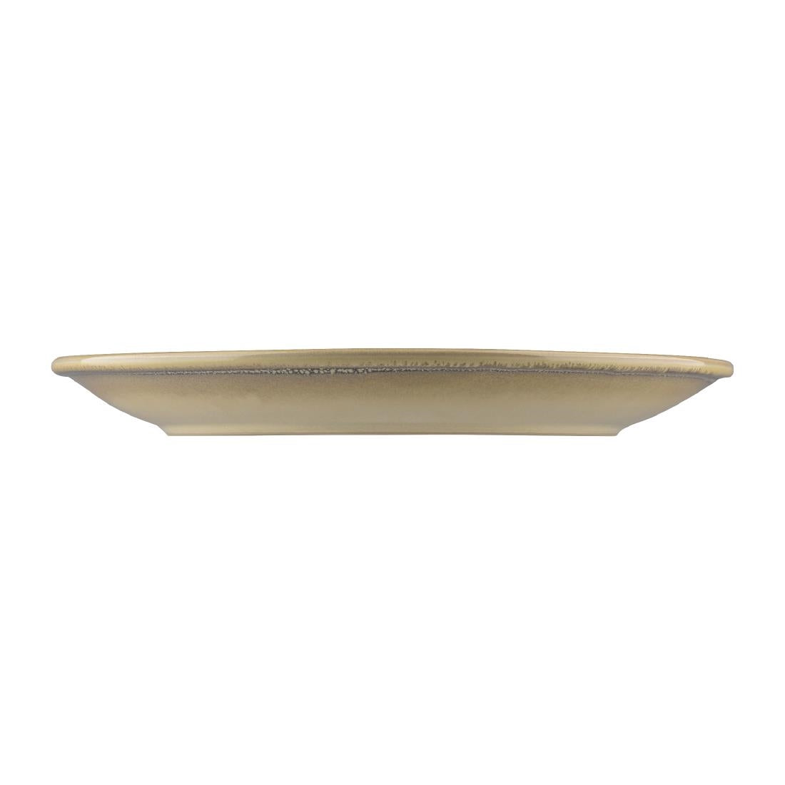 Dudson Evo Coupe Plates Granite 229mm (6 Pack) (Pack of 6) • PAS-FK131