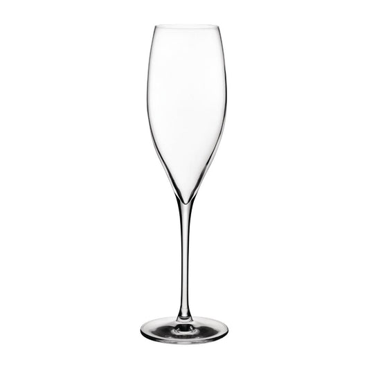 Nude Terroir Champagne Glasses 310ml (12 Pack) • PAS-FK298