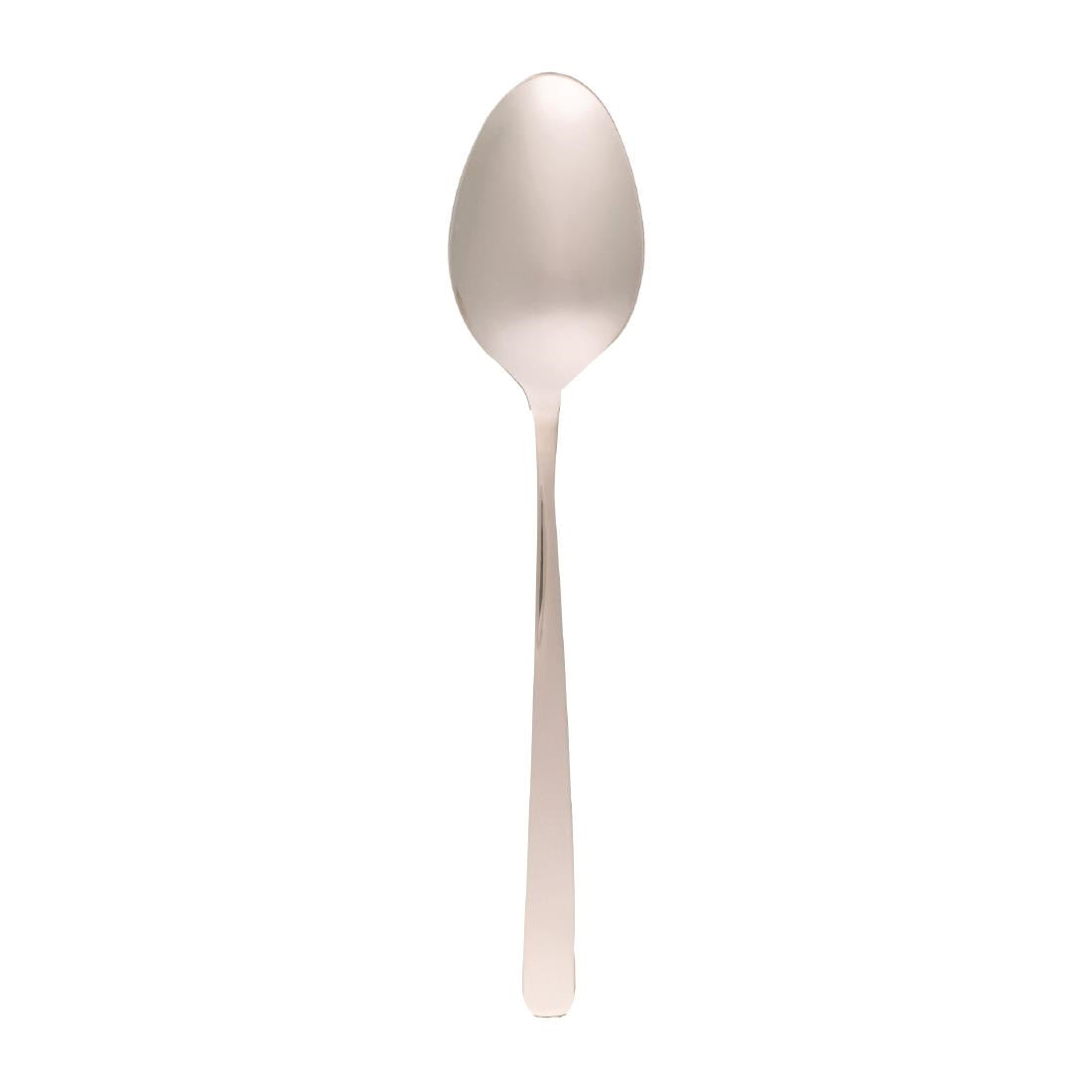 Tablekraft Amalfi Serving Spoons Stainless Steel 18/10 (12 Pack) • PAS-FL526