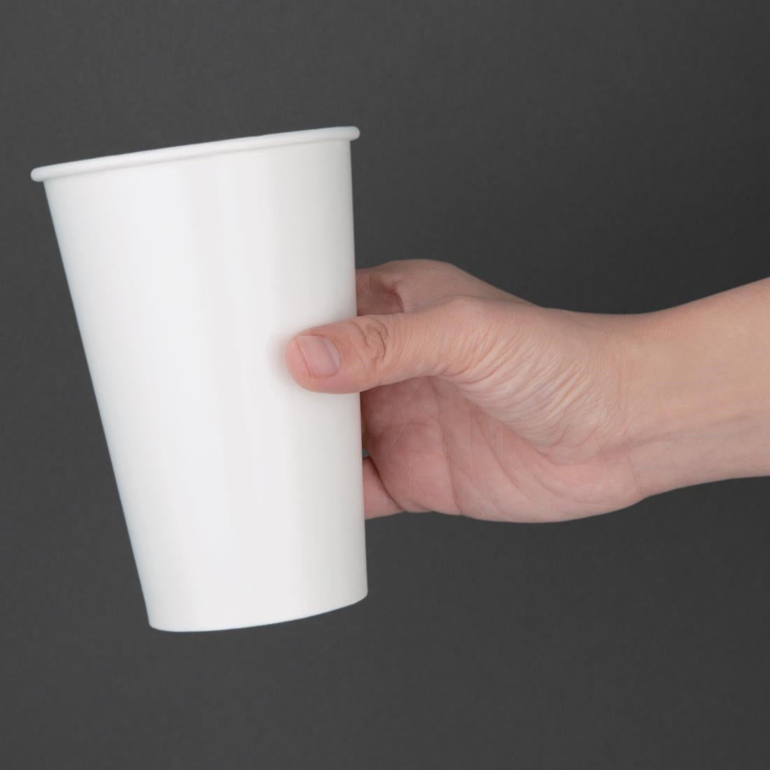 Fiesta Recyclable Cold Paper Cup 16oz 90mm (Pack of 1000) • PAS-FP781