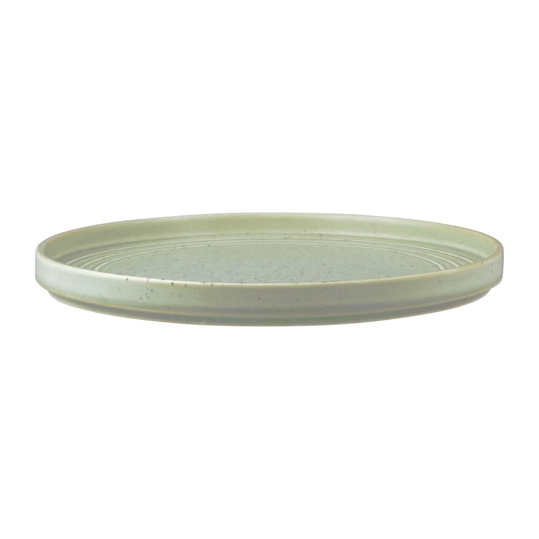 Tablekraft Urban Loft Round Plates Pistachio 275mm (3 Pack) (Pack of 3) • PAS-FW003
