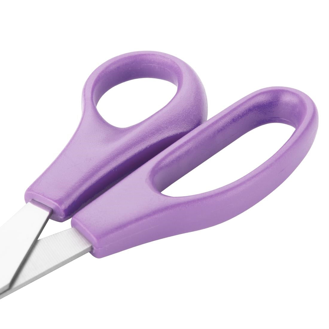 Hygiplas Scissors Purple 205mm • PAS-FX128