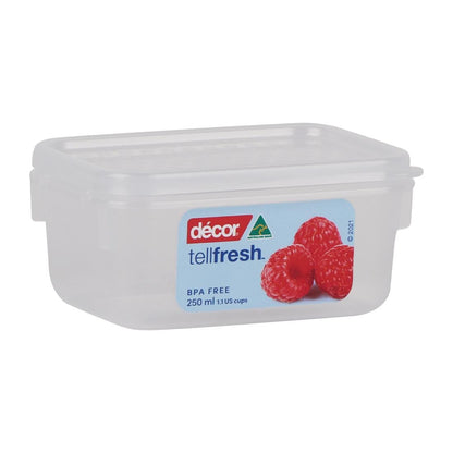 Décor Tellfresh Oblong Storage Container - 250ml • PAS-FY487