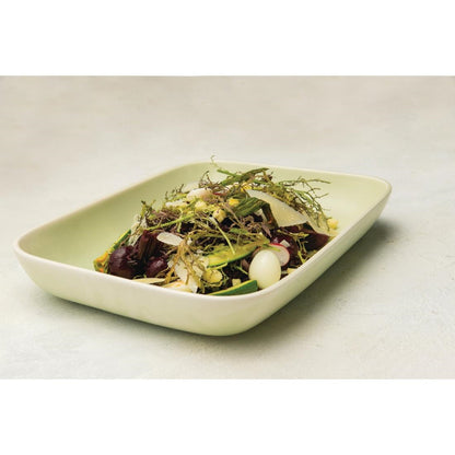 Moda Porcelain Lush Rectangle Dish - 530x265x70mm • PAS-FY721