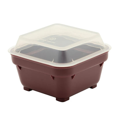 KH Square Bowl 100mm Burgundy Pp (12 Pack) (100mm | Burgundy | Pack of 12) • PAS-FZ170