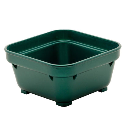 KH Square Bowl 100mm Green Pp (12 Pack) (100mm | Green| Pack of 12) • PAS-FZ172