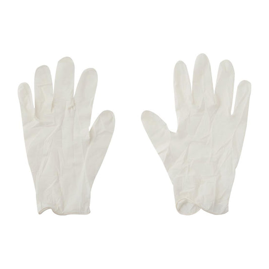 AGA Medical Vinyl Gloves Powder Free Clear - Size L (Pack of 100) • PAS-FZ621-L