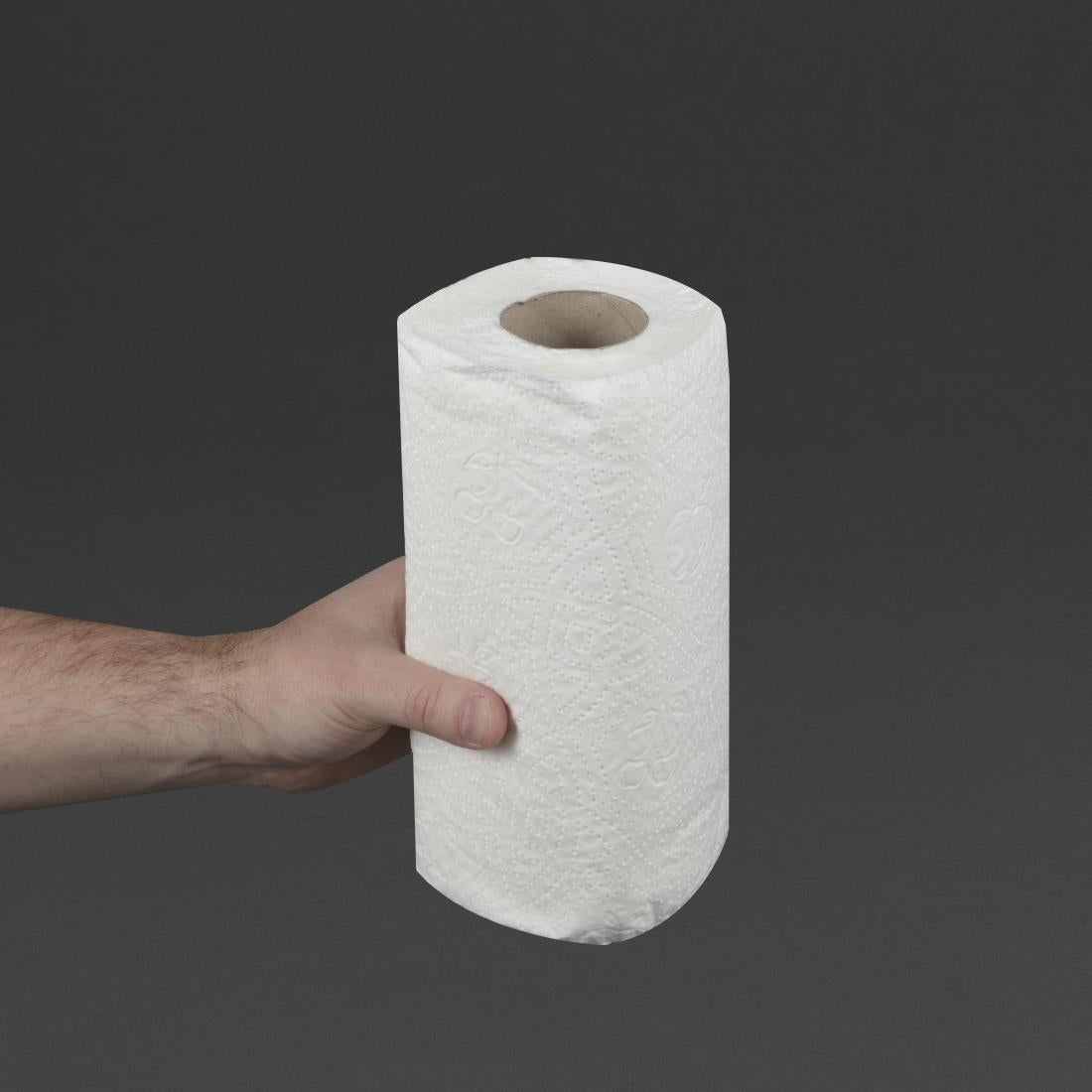 Jantex 2-Ply Paper Towel Roll (24 Pack) (Pack of 24) • PAS-GH065