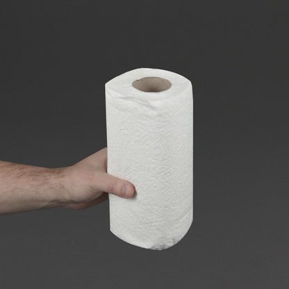 Jantex 2-Ply Paper Towel Roll (24 Pack) (Pack of 24) • PAS-GH065