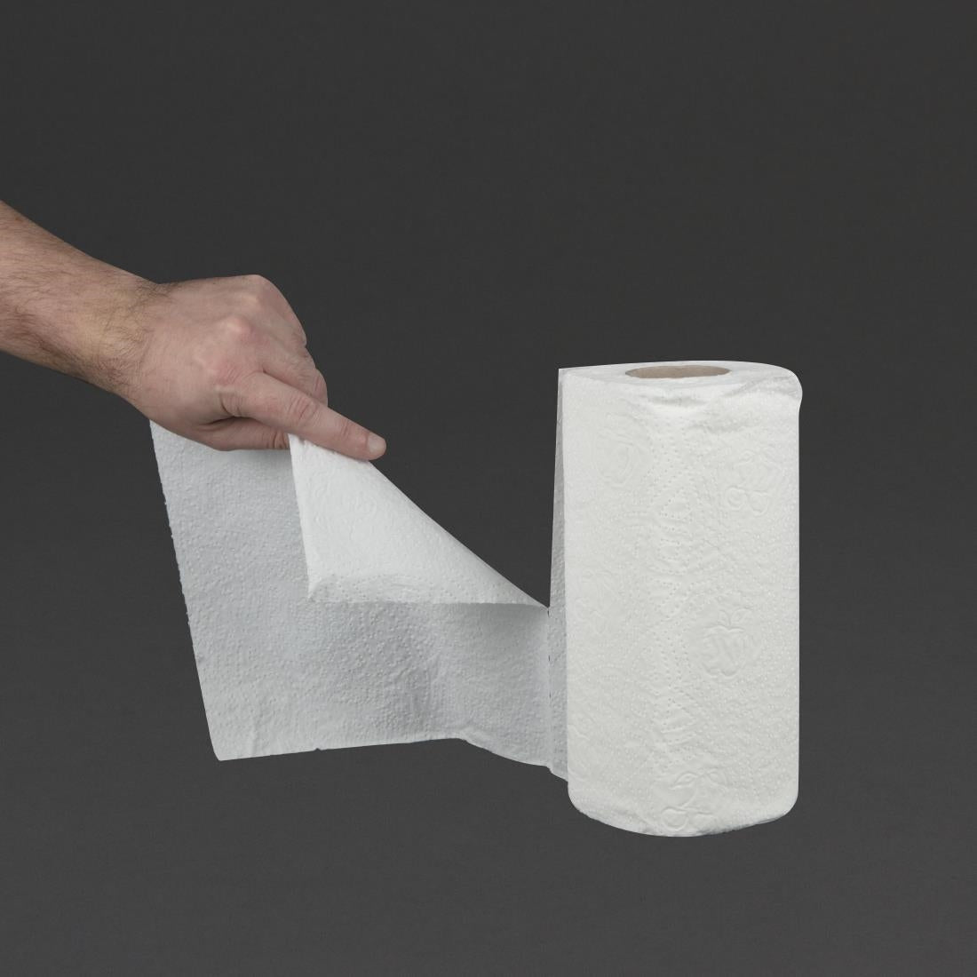 Jantex 2-Ply Paper Towel Roll (24 Pack) (Pack of 24) • PAS-GH065