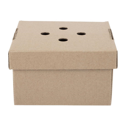 Fiesta Compostable Fold-Out Burger Boxes (100 Pack) (90(H)x150(W)x150(D)mm | Pack Quantity: 100) • PAS-HP942