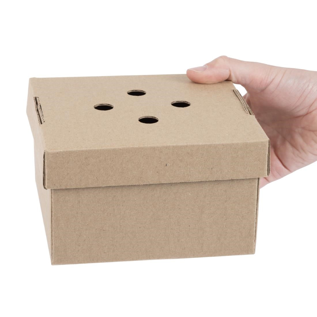 Fiesta Compostable Fold-Out Burger Boxes (100 Pack) (90(H)x150(W)x150(D)mm | Pack Quantity: 100) • PAS-HP942