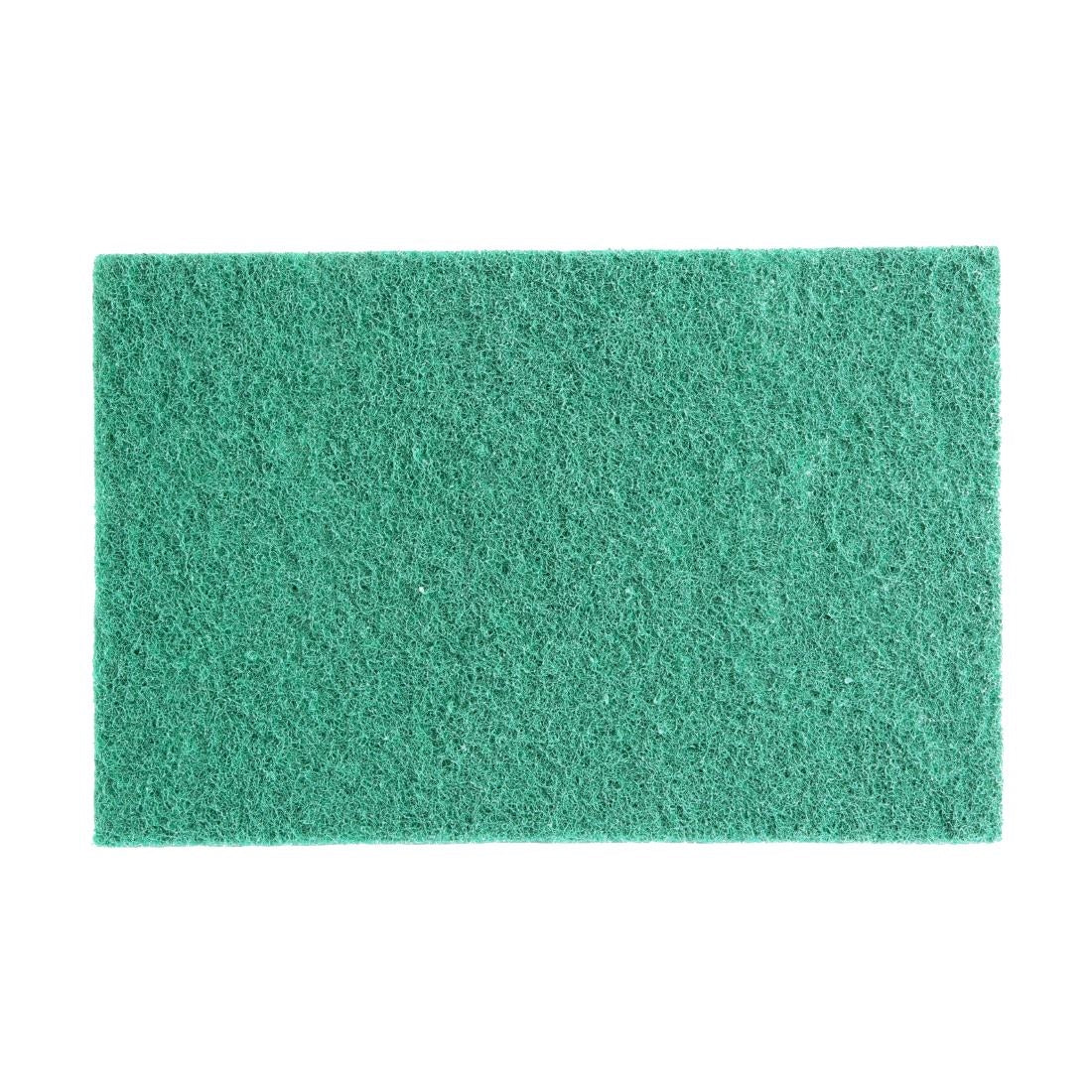 Jantex Green 100% Recycled Scouring Pads 228x152mm (10 pack) (Pack Quantity: 10 | 228x152mm) • PAS-HW010