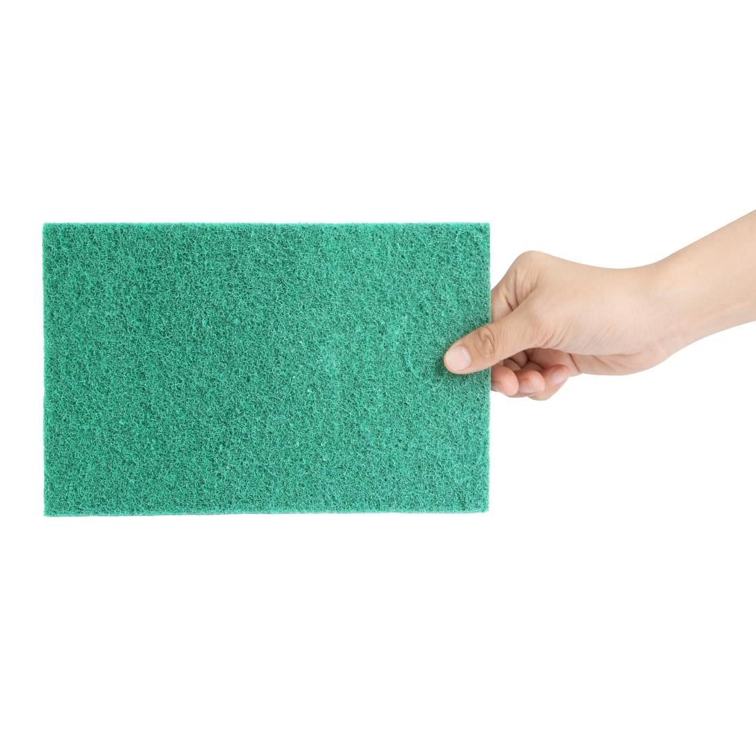 Jantex Green 100% Recycled Scouring Pads 228x152mm (10 pack) (Pack Quantity: 10 | 228x152mm) • PAS-HW010