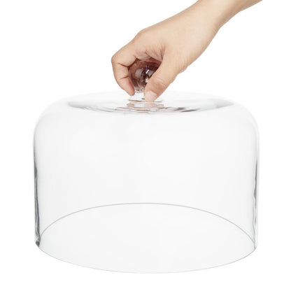 Olympia Glass Dome - 190x240mm (240(Ø)x190(H)mm) • PAS-HW799
