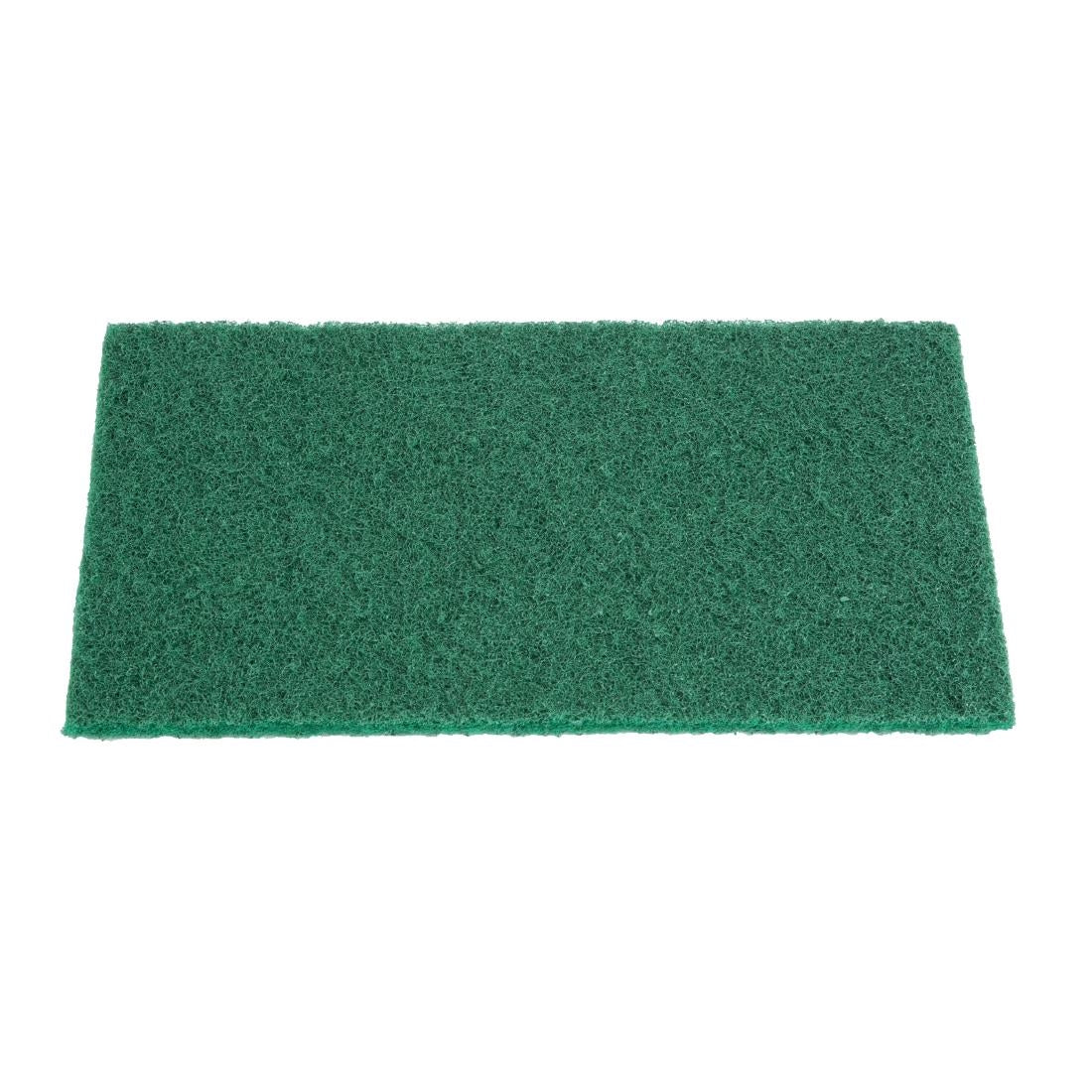 Jantex Green Scourer Pads Large (10 Pack) (Large | 149(W) x 228(L)mm | Pack Quantity: 10) • PAS-HX233
