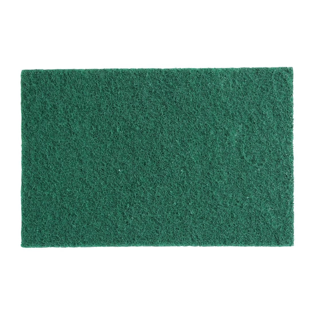 Jantex Green Scourer Pads Large (10 Pack) (Large | 149(W) x 228(L)mm | Pack Quantity: 10) • PAS-HX233