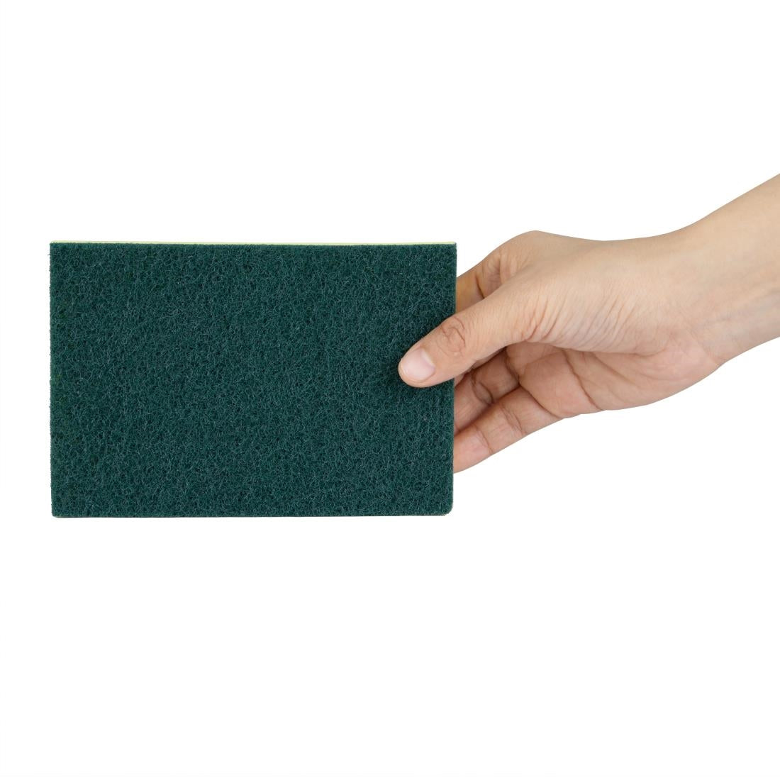Jantex Foam Scourers (10 Pack) (148(W)x100(D)mm | Pack Quantity: 10) • PAS-HX273