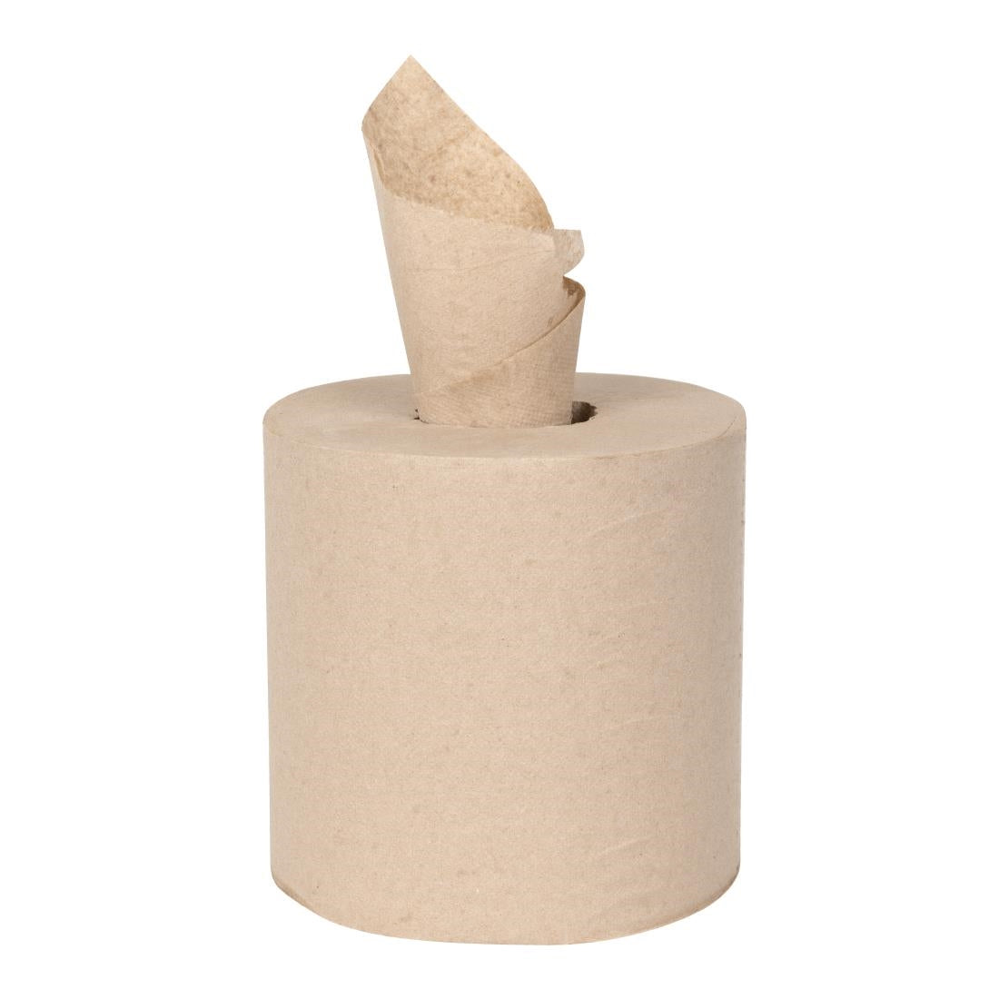 Jantex Green 100% Recycled Centre Feed Roll 2ply 120m (6 Pack) (480 Sheets Per Roll | 2ply Construction | Pack Quantity: 6) • PAS-HX940